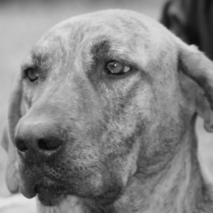 Meet your Posher, Trish